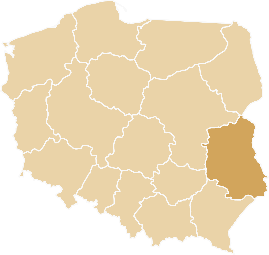 Samochody ciężarowe dostępne w województwie lubelskim - Lublin, Zamość, Chełm